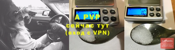 apvp Белокуриха